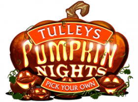 Tulleys Pumpkins - Pick Your Own